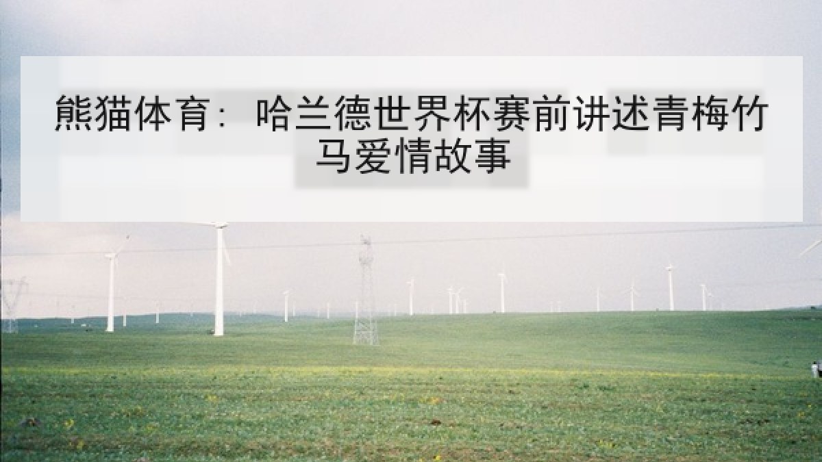 熊猫体育: 哈兰德世界杯赛前讲述青梅竹马爱情故事